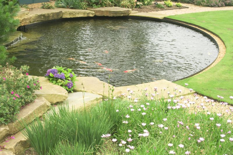 Pond Installation