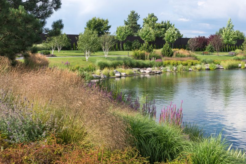 Pond Design and Planning