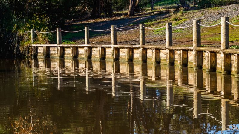 Accessibility & Comfort