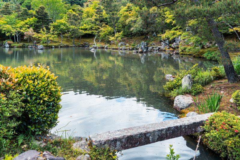 reate a habitat for fish and other creatures