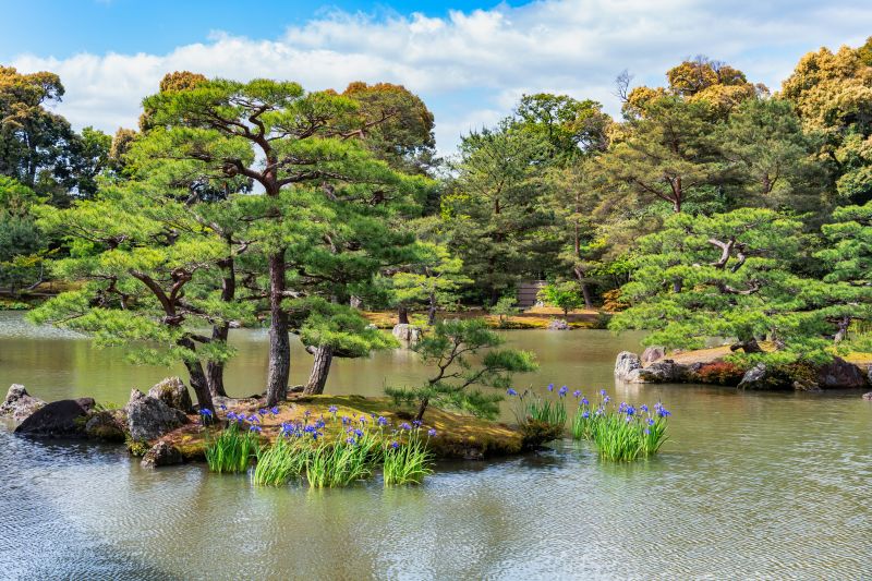 Enjoy the calming sound of water